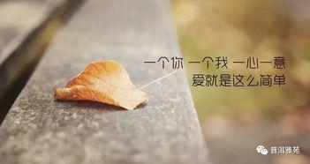 酒酿的爱情,酒酿中的浪漫情怀