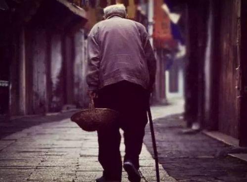 望父成龙父欲静而儿不止,父欲静而儿不止的育儿启示录