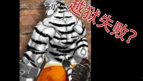 鲤氏侦探事务所,揭秘神秘案件的神秘力量