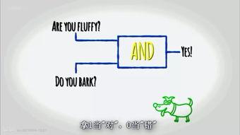 逻辑的乐趣,揭秘思维乐趣的奥秘