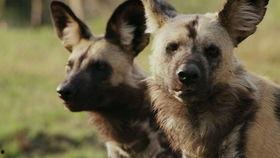 野蛮王国 第三季,传奇再续，战火重燃