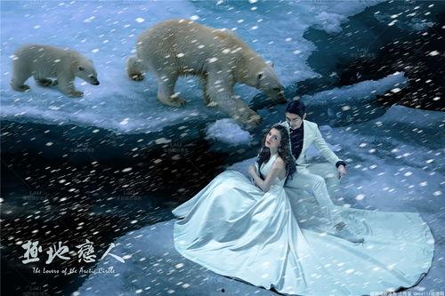 极地恋人,跨越千里的爱情传奇