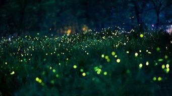 揉碎星光,探寻宇宙奥秘的璀璨旅程