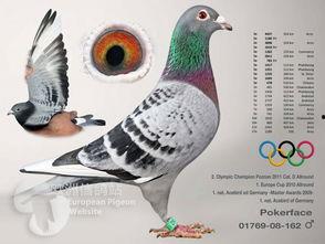 扑克脸 第一季,揭秘牌桌上的心理博弈